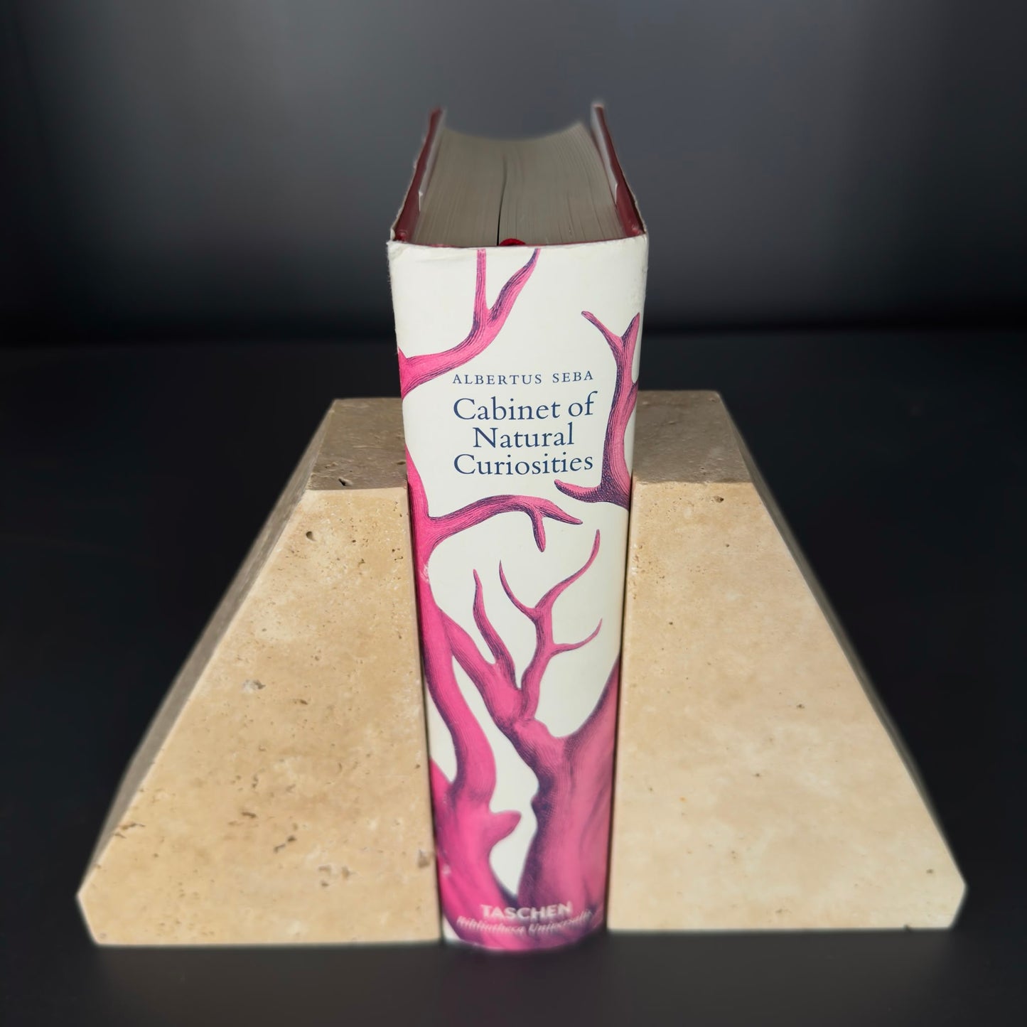 Traverten Mermer Kitap Tutucu , Traverten Mermer Dekjoratif Kitap Tutucu